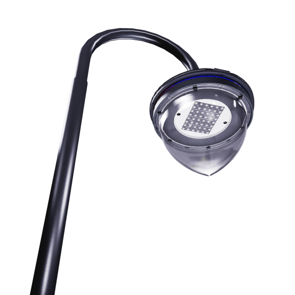 Suspended 18